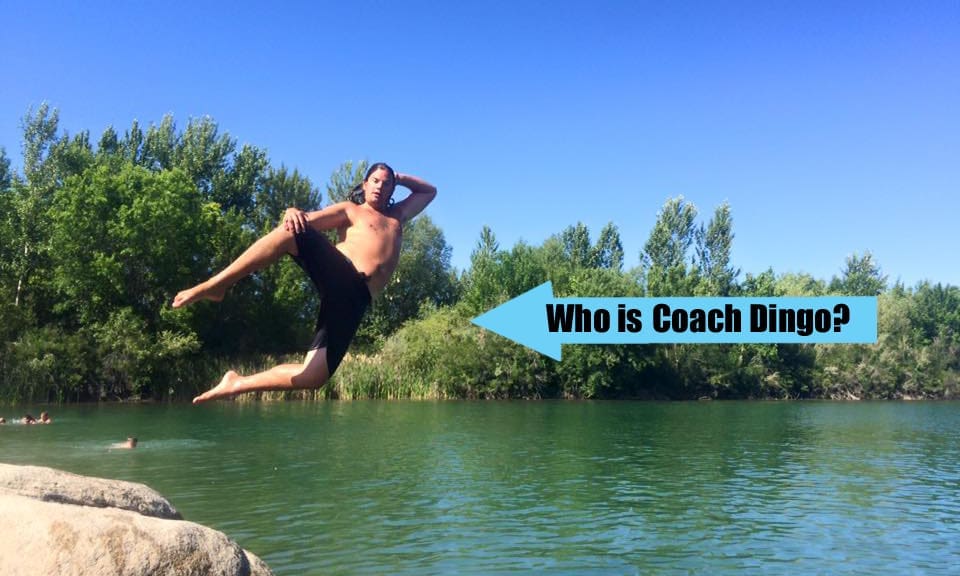 Who is Coach Dingo?
