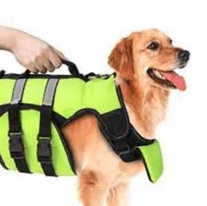 Dog Life Jacket Grab Handle for paddleboarding